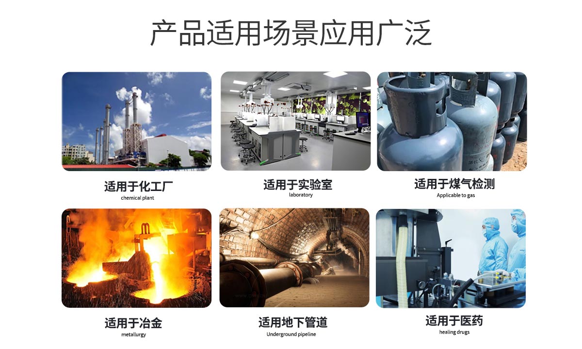 便攜擴散式氣體檢測儀-便攜有毒氣體測量儀-擴散式可燃氣體報警儀